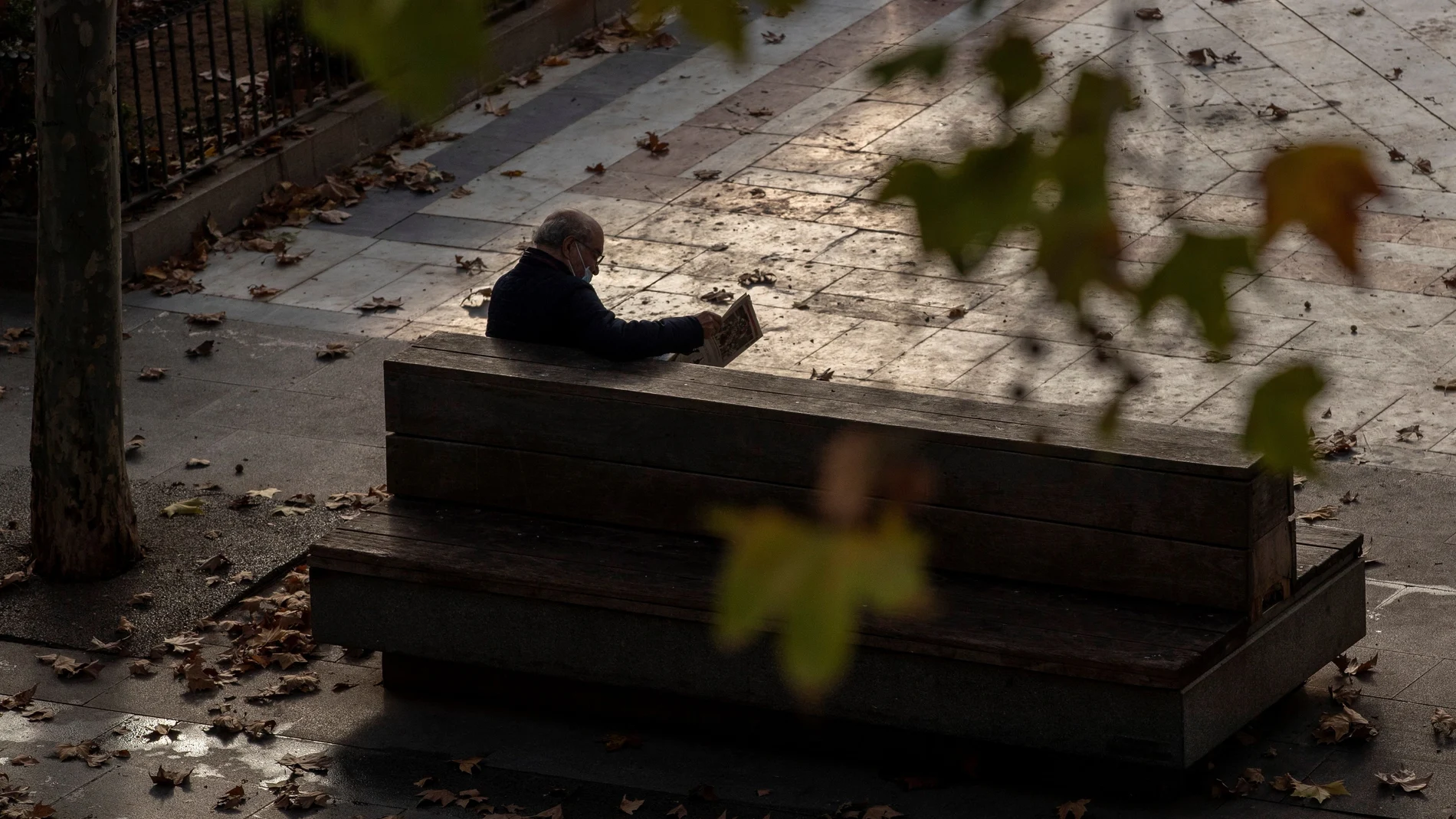 Un hombre pensionista lee un periódico sentado en un banco de la Plaza Nueva en Sevilla