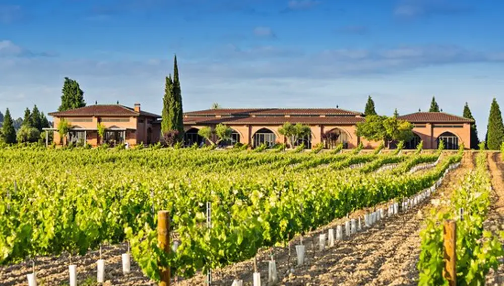 Las viñas son claves en la economía de Sant Sadurní d'Anoia