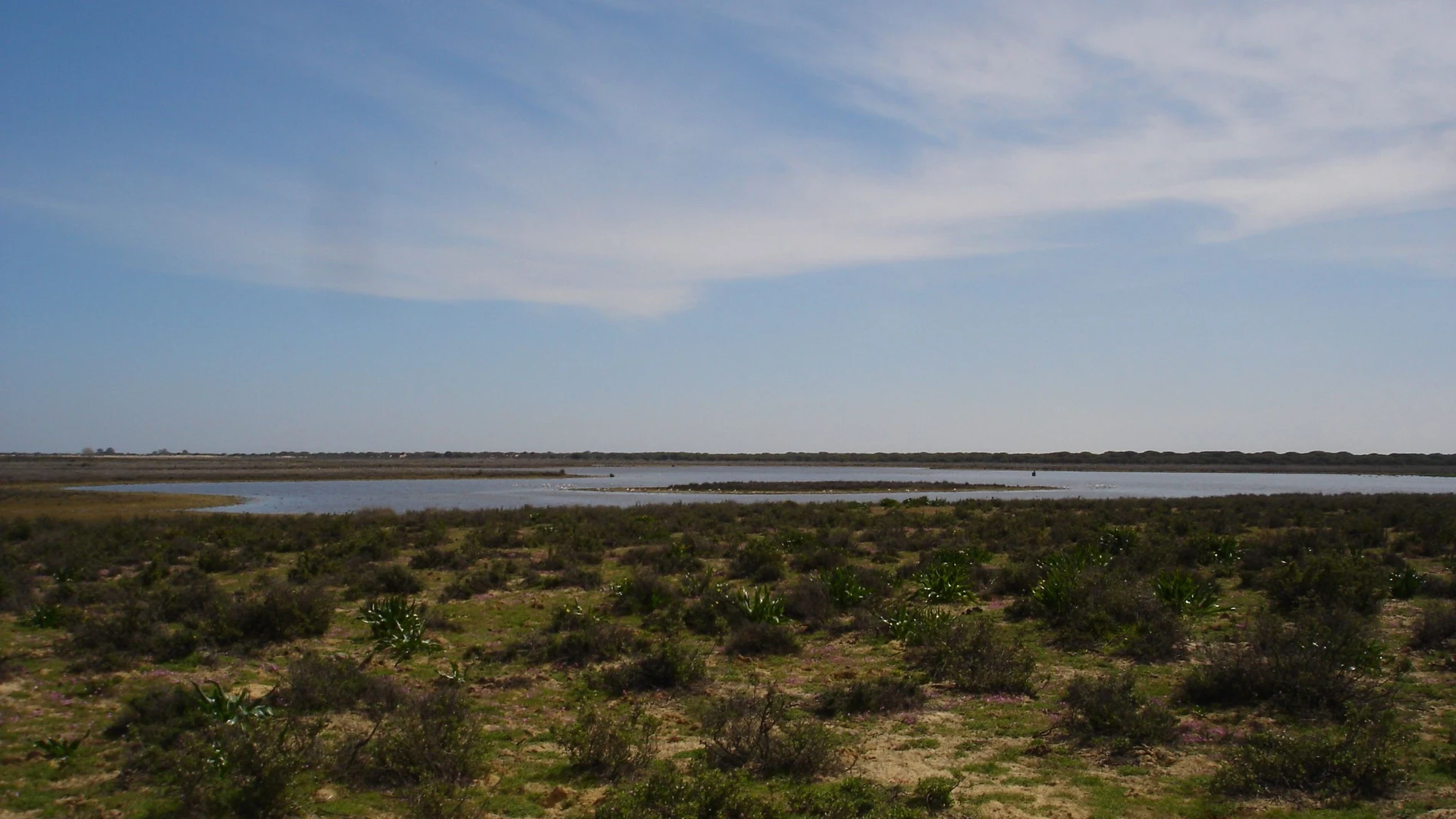 Imagen de archivo del Parque Nacional de Doñana