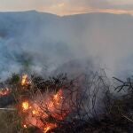 En abril de este año, los montes de Cieza sufrieron otro incendio