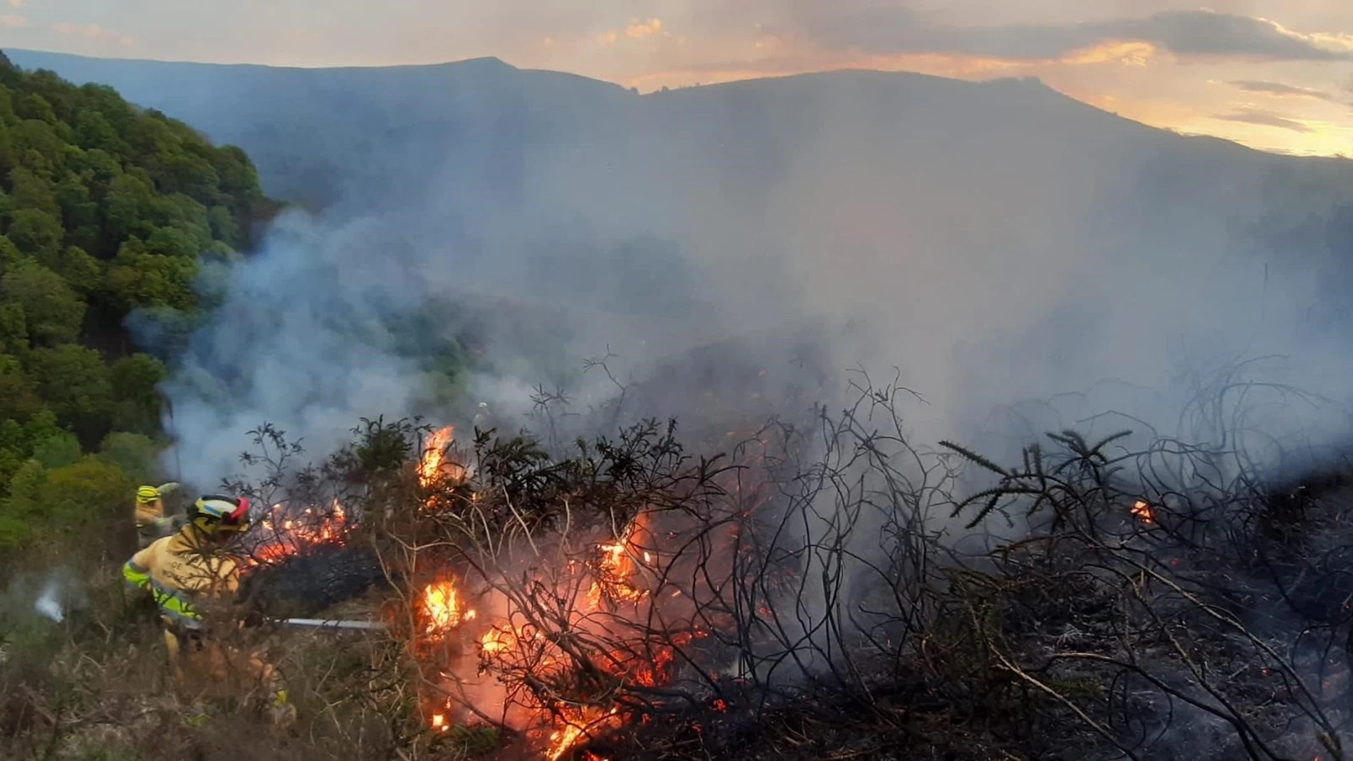 En abril de este año, los montes de Cieza sufrieron otro incendio