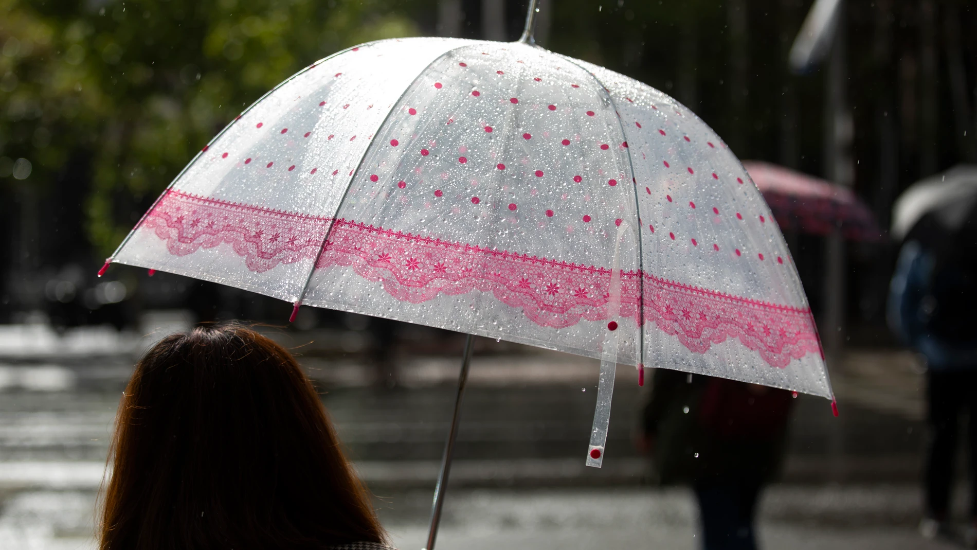 Una mujer bajo la lluvia con su paraguas cruza un paso de peatones en Madrid