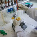 Una científica trabaja en una investigación del Instituto Vital Brazil sobre coronavirus