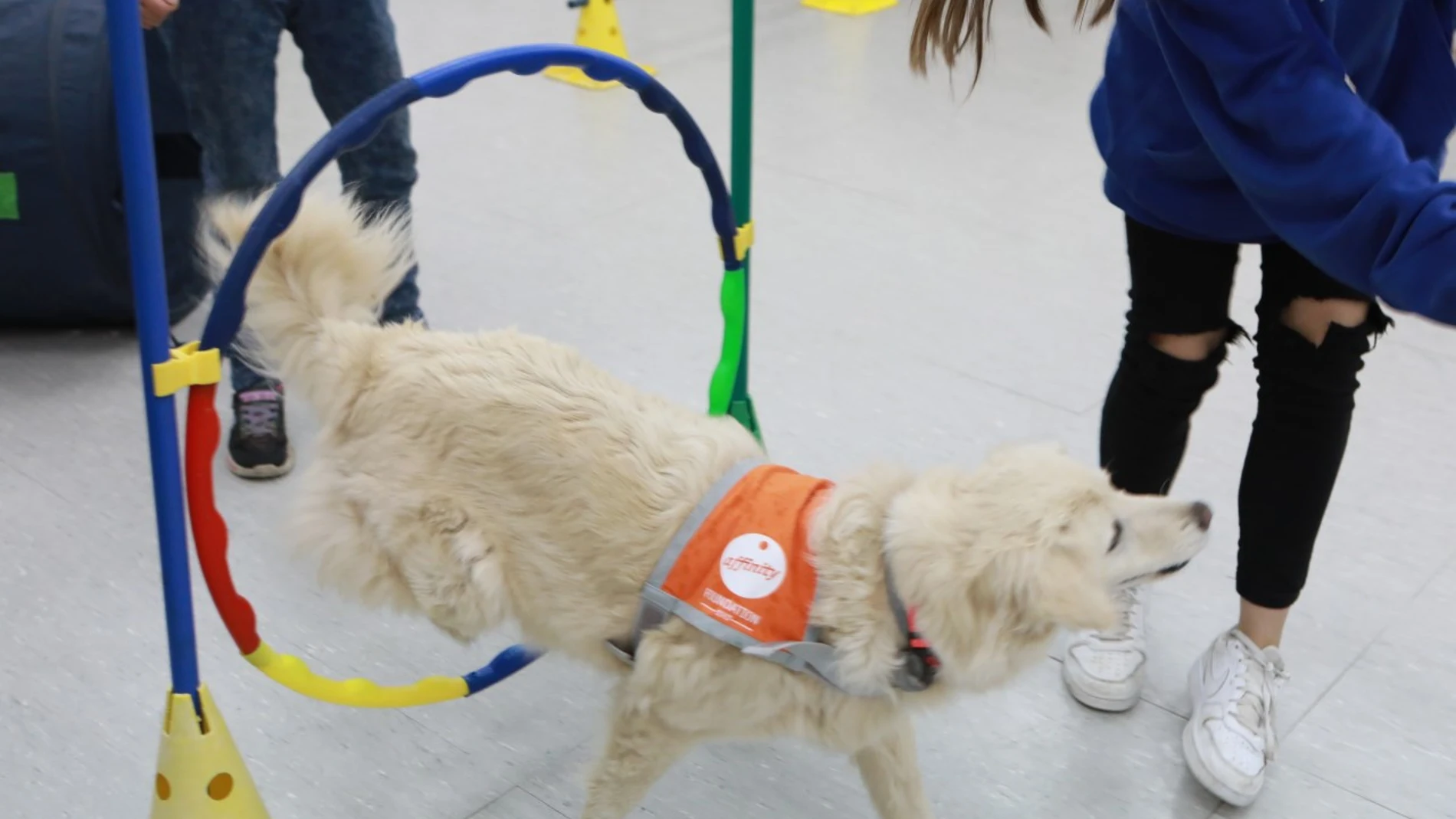 Una de las niñas tuteladas que participa en el programa trabaja con Solet en la actividad que se conoce como Agility