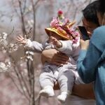A man holds a child for photos near a cherry blossom tree in Beijing on Wednesday, March 24, 2021. China's population grew last year, the government said Thursday, April 29, 2021 following a news report a once-a-decade census might have found a decline, possibly adding to downward pressure on economic growth. (AP Photo/Ng Han Guan)