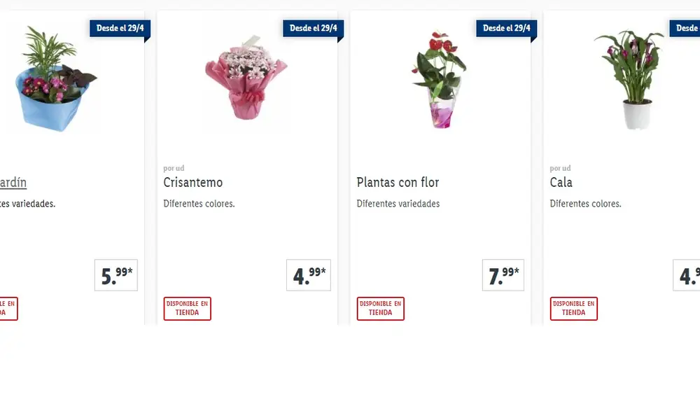 Catálogo de plantas de venta en Lidl