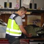 La Policía desmantela en Jumilla uno de los cultivos de droga con mejor tecnología de la Región