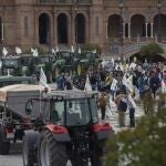 Los agricultores vienen protestando contra el decreto de transición de la Política Agraria Común (PAC)