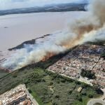Incendio forestal en el Parque Natural Lagunas de la Mata, en Torrevieja (Alicante)