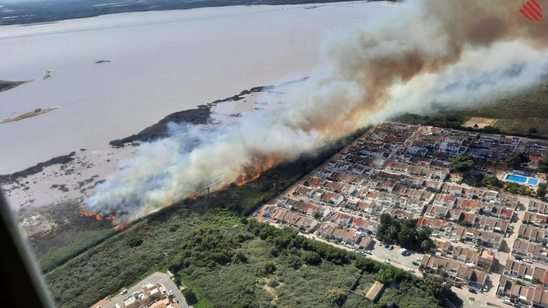 Incendio forestal en el Parque Natural Lagunas de la Mata, en Torrevieja (Alicante)