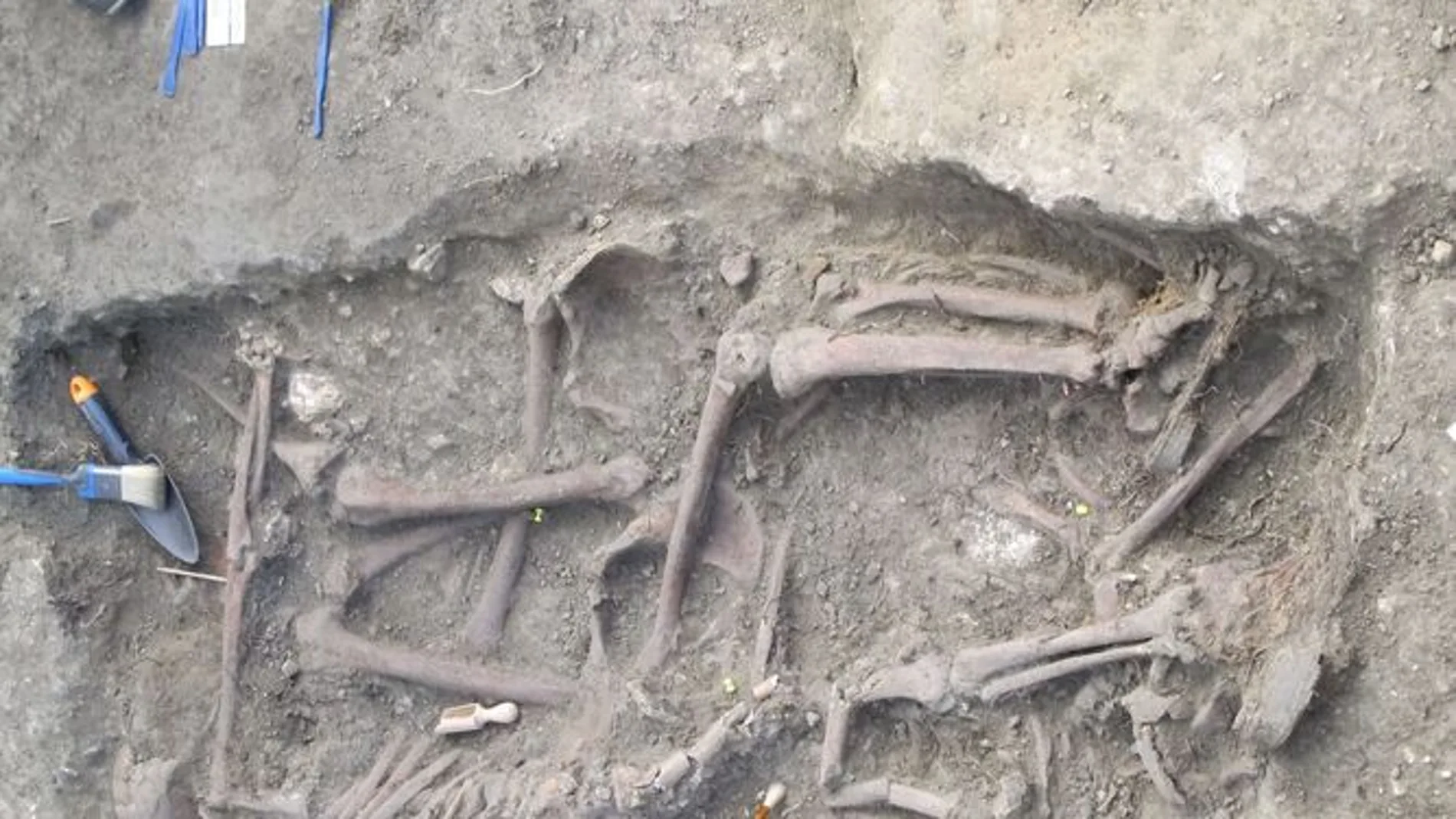 Huesos humanos hallados en el Barranco de Viznar