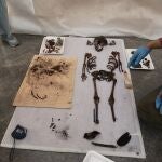 Imagen de los restos de la niña hallada en el Alcázar de Sevilla tras ser sacada del féretro