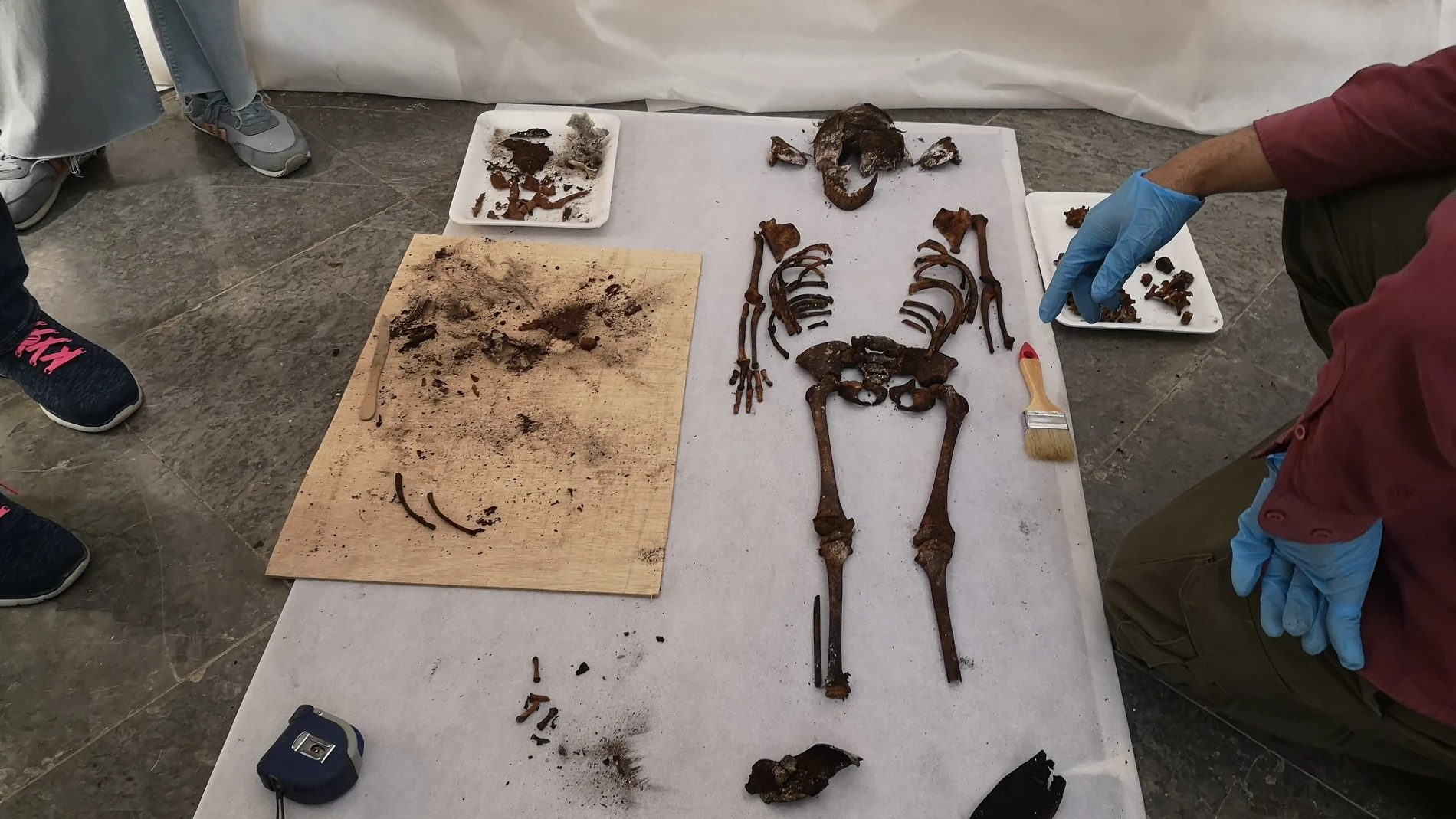 Imagen de los restos de la niña hallada en el Alcázar de Sevilla tras ser sacada del féretro