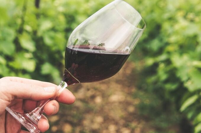 Copa de vino y viñedo