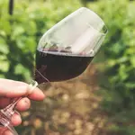 Copa de vino y viñedo