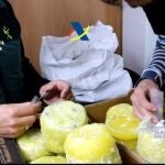 Desaticulada una organización criminal que introducía cocaína en España dentro de piñas "preñadas"
