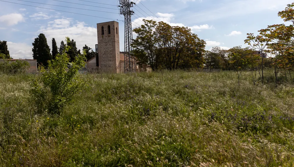 La ermita mudéjar de Santa María la Antigua sobresale en el descampado de Eugenia de Montijo