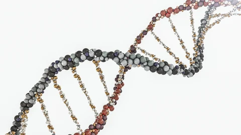 Analizando la composición del aire, sería posible identificar el ADN de las especies que habitan en un ecosistema concreto | Fuente: Dreamstime