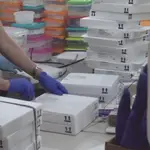 Dosis de la vacuna de Pfizer contra la covid repartidas ayer en Baleares