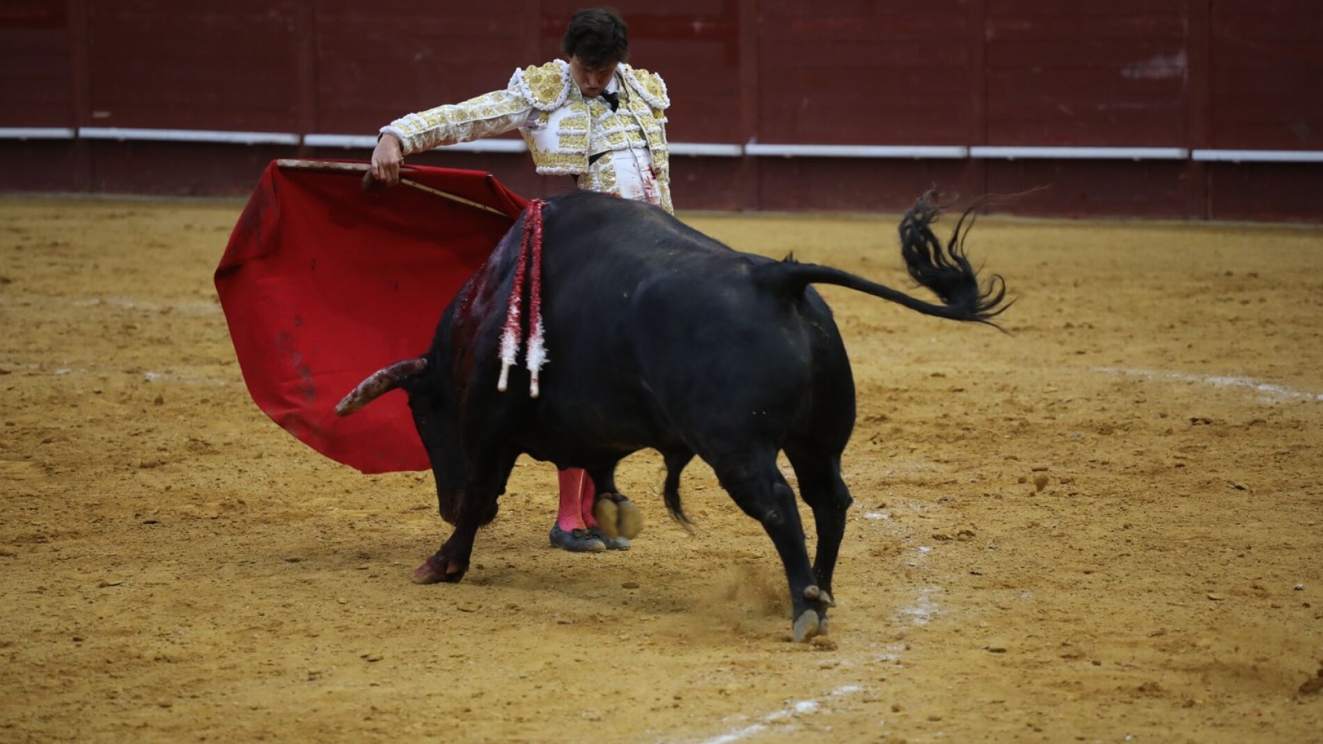 Manoletinas torero online