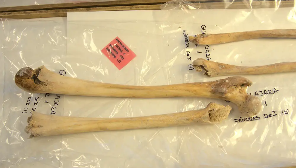 La investigación definitiva sobre Cristóbal Colón: un proyecto analizará sus huesos para conocer su origen