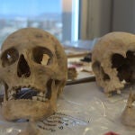 El estudio se realizará sobre los restos óseos atribuidos a Colón, a su hijo Hernando y a su hermano Diego