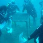 El Club de Buceo Mediterráneo Valencia lleva varios años realizando esta iniciativa de limpieza de fondos marinos. Foto: Facebook