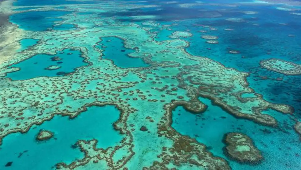 Gran Barrera de Coral | Australia
