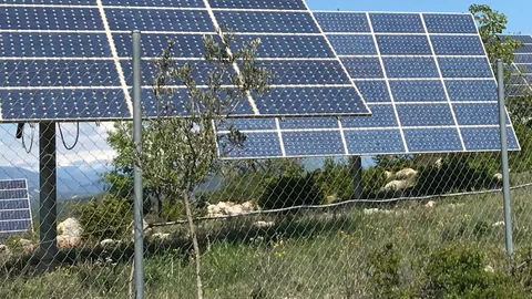 Un campo con placas solares, fotovoltaica, es decir, energía limpia