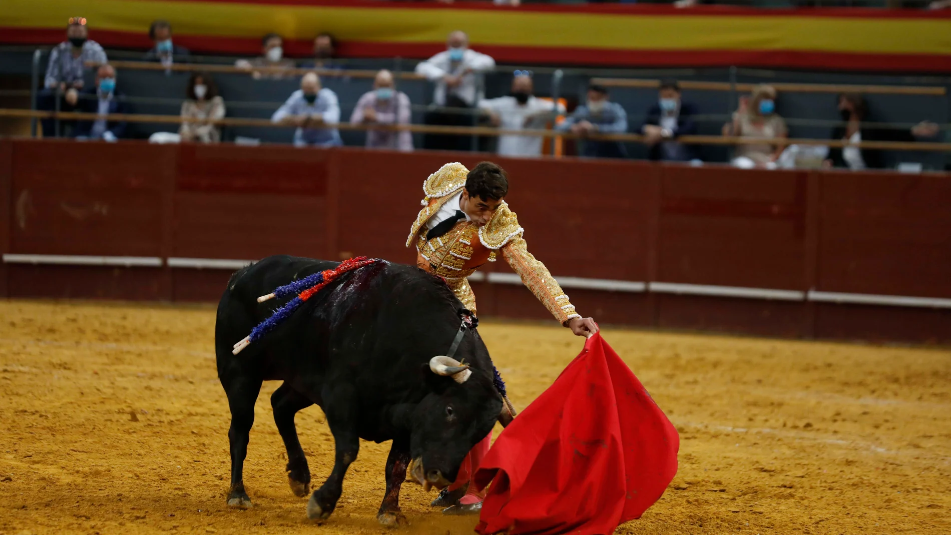 Toros en Vistalegre