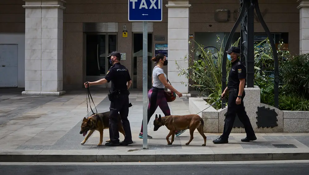 Una ceutí camina entre dos policías que realizan labores de vigilancia con dos perros