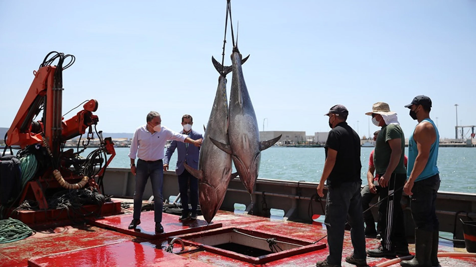 Bendodo en un barco almadrabero con dos atunes recién capturados