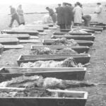 Holocausto en Paracuellos de Jarama