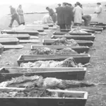 Holocausto en Paracuellos de Jarama