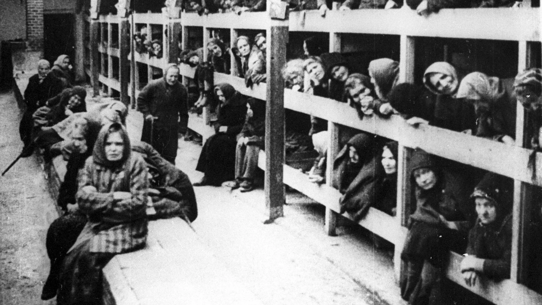 De inyecciones uterinas a partos múltiples: el infierno de las mujeres  judías en Auschwitz