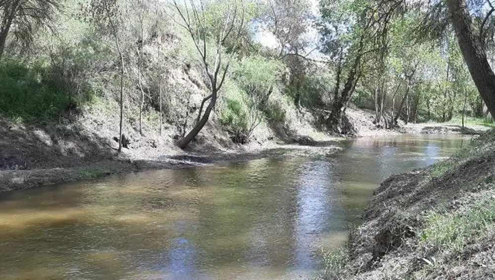 Actuación de la CHD en el río Adaja