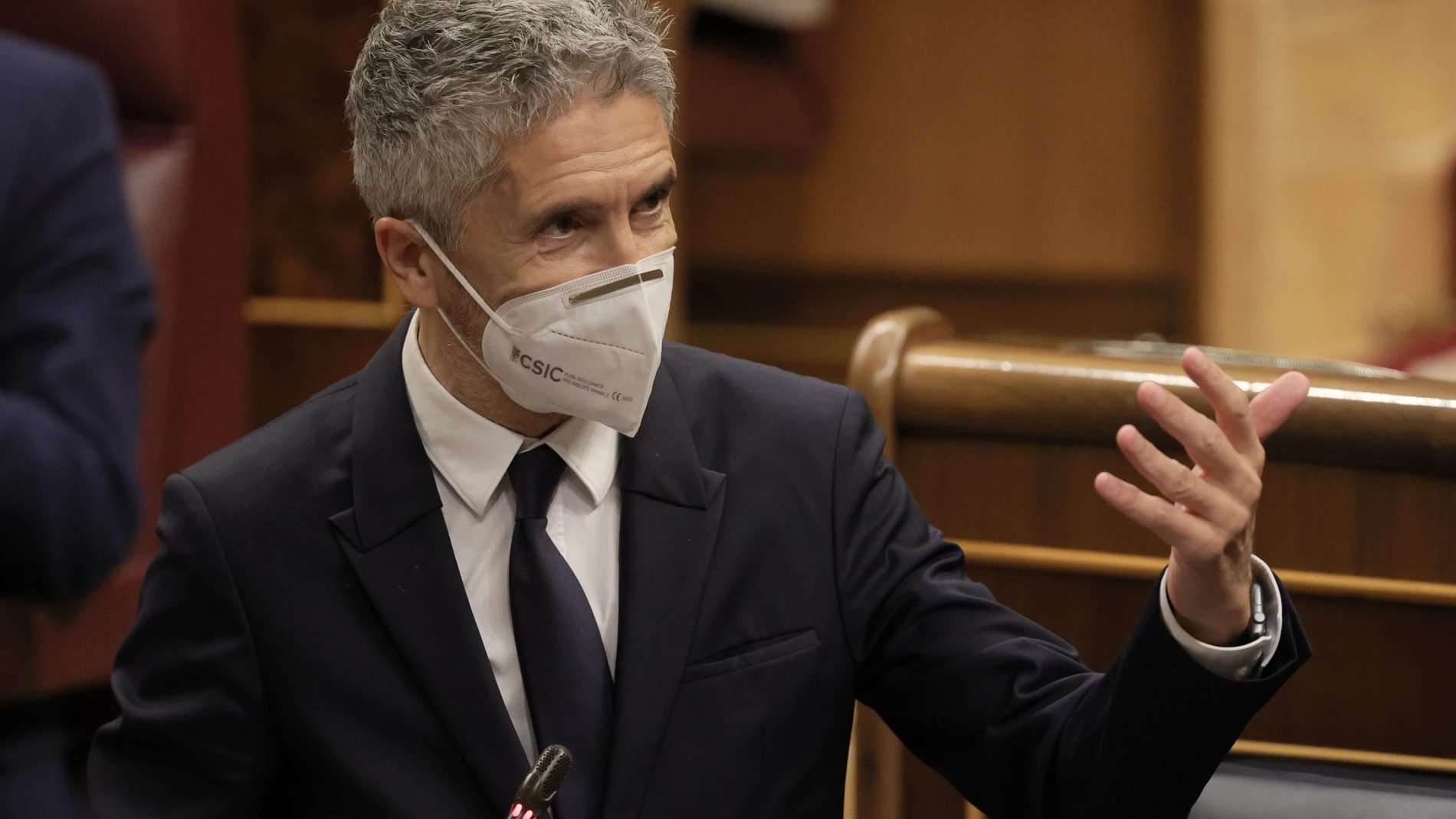 El ministro del Interior, Fernando Grande-Marlaska