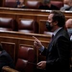 MADRID, 26/05/2021.- El portavoz de Vox, Iván Espinosa de los Monteros, durante su intervención en la sesión de control al Ejecutivo de este miércoles en el Congreso. EFE/ Emilio Naranjo