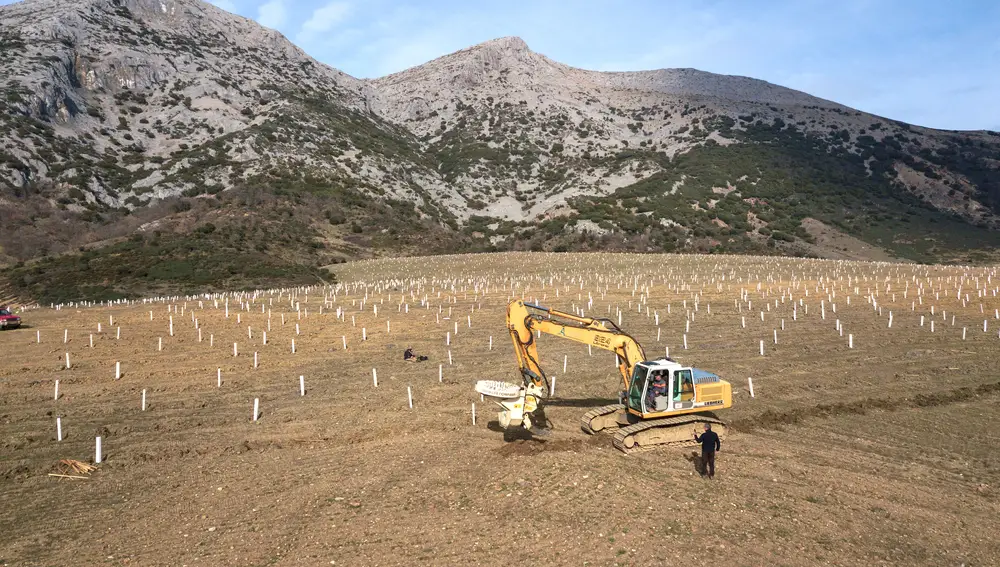 Reforestación de Land Life Company en Palencia