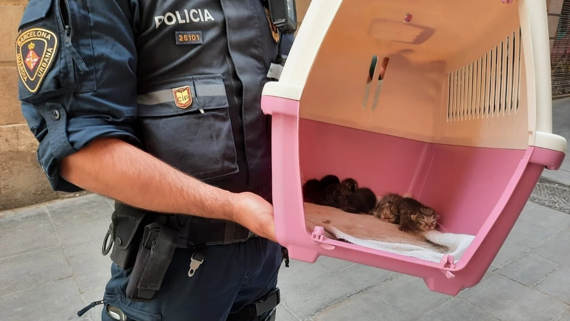 Imagen de un agente de la Guardia Urbana con algunos de los animales intervenidos en BarcelonaAYUNTAMIENTO DE BARCELONA