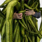 Un detalle de la obra "A Great Seeweed Day", que forma parte de la exposición "Un encuentro vegetal" en La Casa Encendida