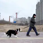 Un hombre camina con su perro en la ciudad china de Harbin