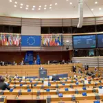 La eurodiputada del PP Dolors Montserrat ha liderado la redacción de cuatro enmiendas que han recibido el apoyo mayoritario de la Cámara