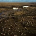 Imagen aérea del Refugio Nacional de Vida Silvestre del Ártico de Alaska