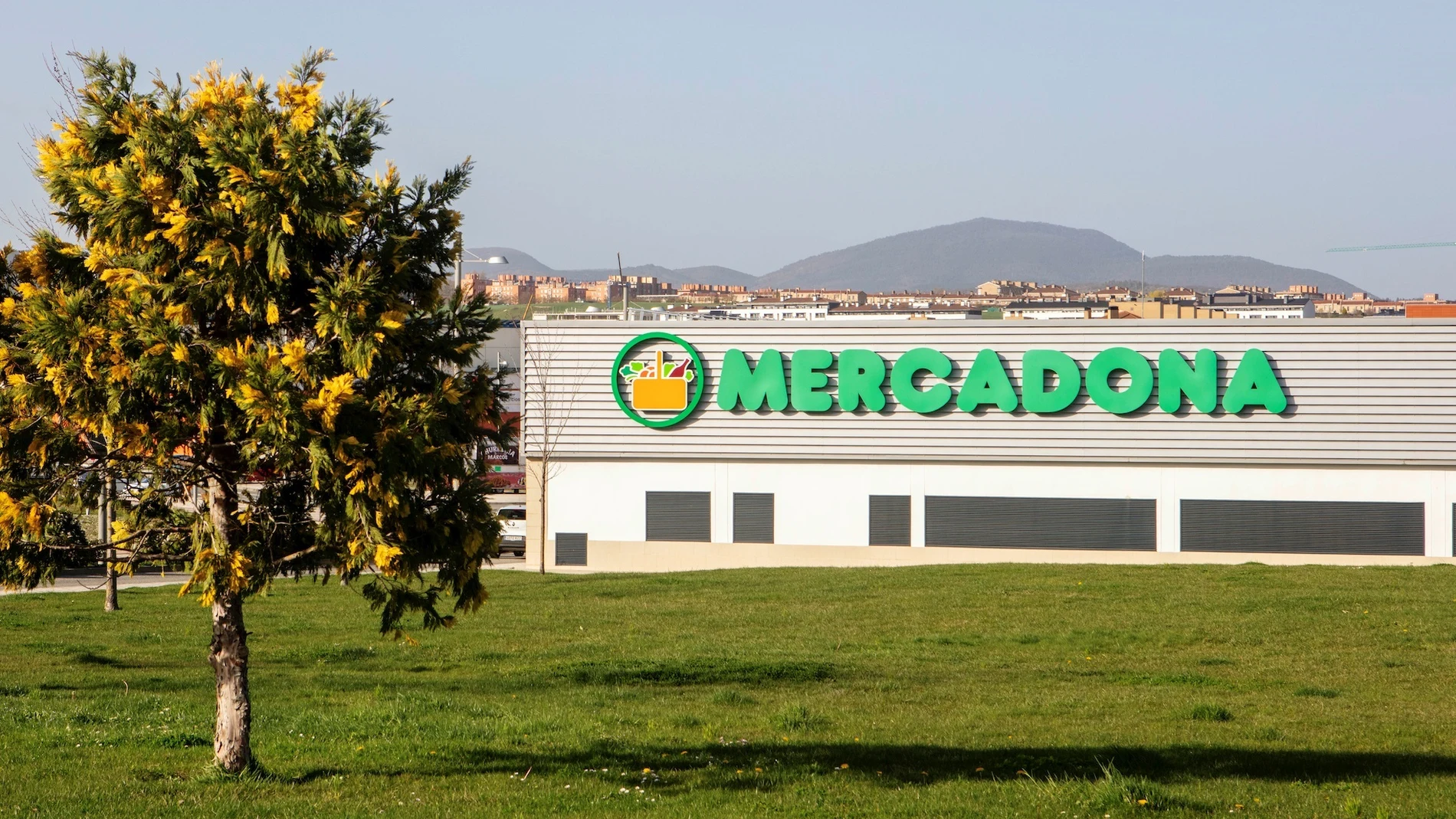Tienda de Mercadona en Navarra.MERCADONA02/06/2021