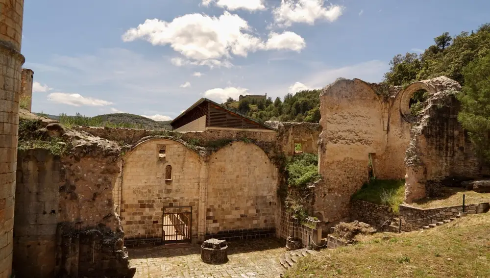 Ruinas del Monasterio de San Pedro de Arlanza.