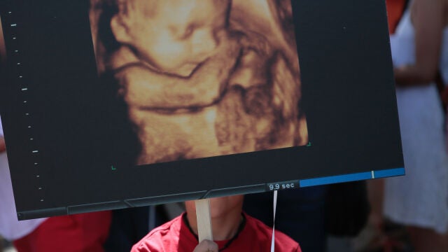 Participantes en una marcha por la vida contra la reforma de la ley del aborto