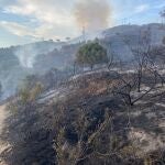 El incendio en Collserola. AJUNTAMENT DE BARCELONA
