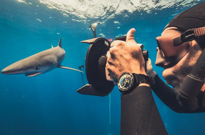 Día de los Océanos: Ulysse Nardin y la importancia de los tiburones en el equilibrio marino 