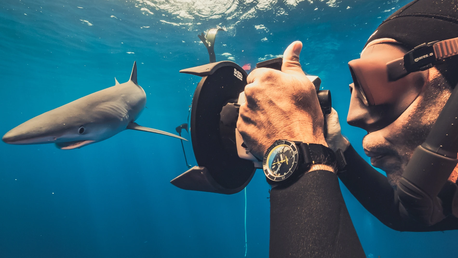 Fred Buyle con Diver Lemon Shark